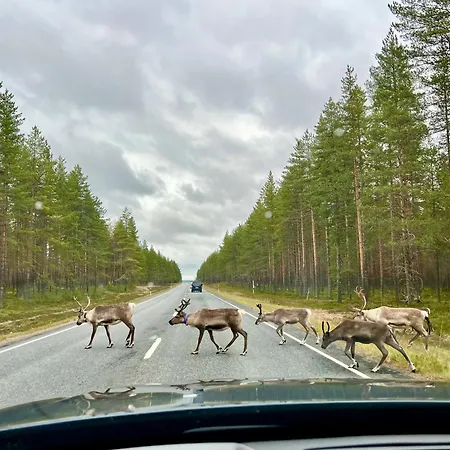 By Lapland Villas, Near Aarnilampi Beach, Great Private For Families & Outdoor Lovers, Sauna, Wifi Chalet Luosto