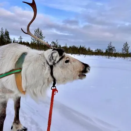 בקתה - Lapland Villas, Aarnilampi Beach, Private For Outdoor Lovers & Families, Sauna, Fireplace