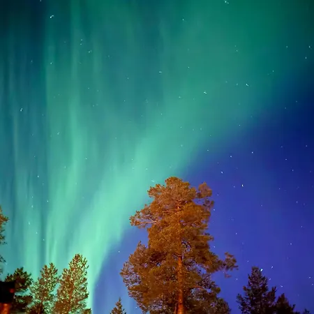 - Lapland Villas, Aarnilampi Beach, Private For Outdoor Lovers & Families, Sauna, Fireplace בקתה *