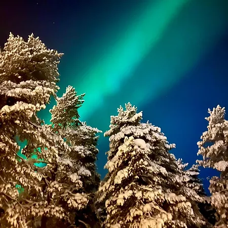 - Lapland Villas, Aarnilampi Beach, Private For Outdoor Lovers & Families, Sauna, Fireplace